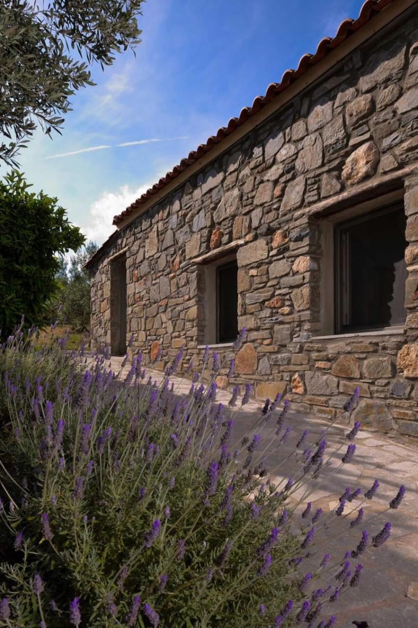 Kladi House Renovated 2023 Villa Nikiti  Exterior photo
